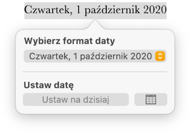 Narzędzia daty i czasu z wyświetlonym menu podręcznym formatu daty oraz przyciskiem Ustaw na dzisiaj.