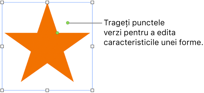 O formă cu mânere de selecție.