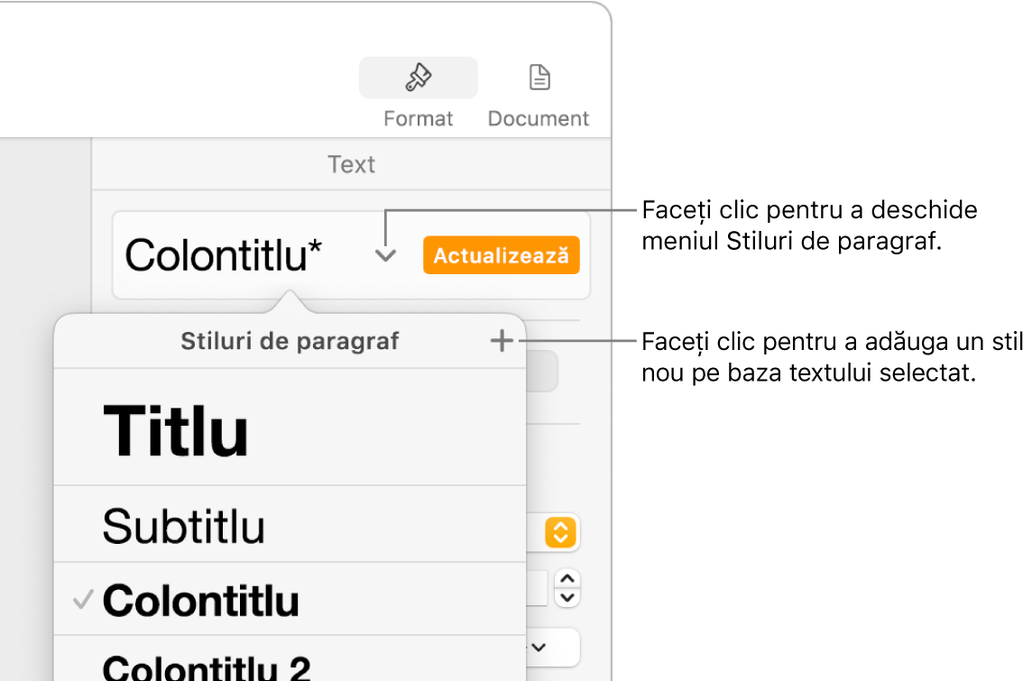Meniul Stiluri de paragraf afișând comenzi de adăugare sau modificare a unui stil.