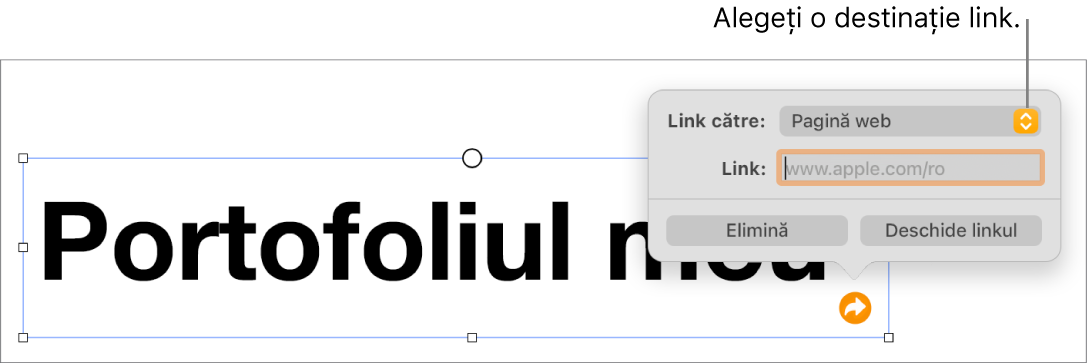 Comenzile editorului de linkuri cu opțiunea Pagină web selectată și butoanele Elimină și Deschide linkul în partea de jos.