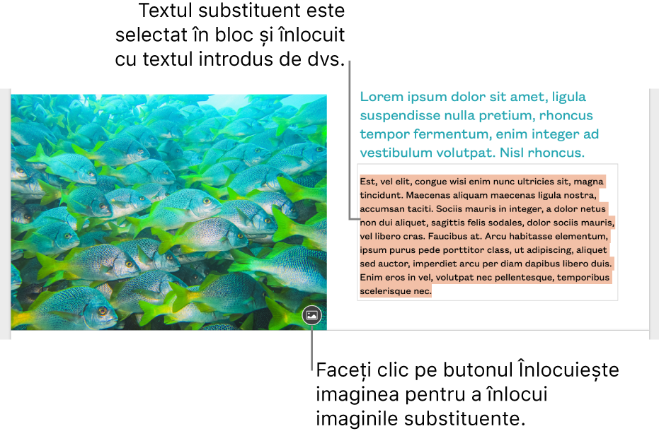 Text și imagini substituente.