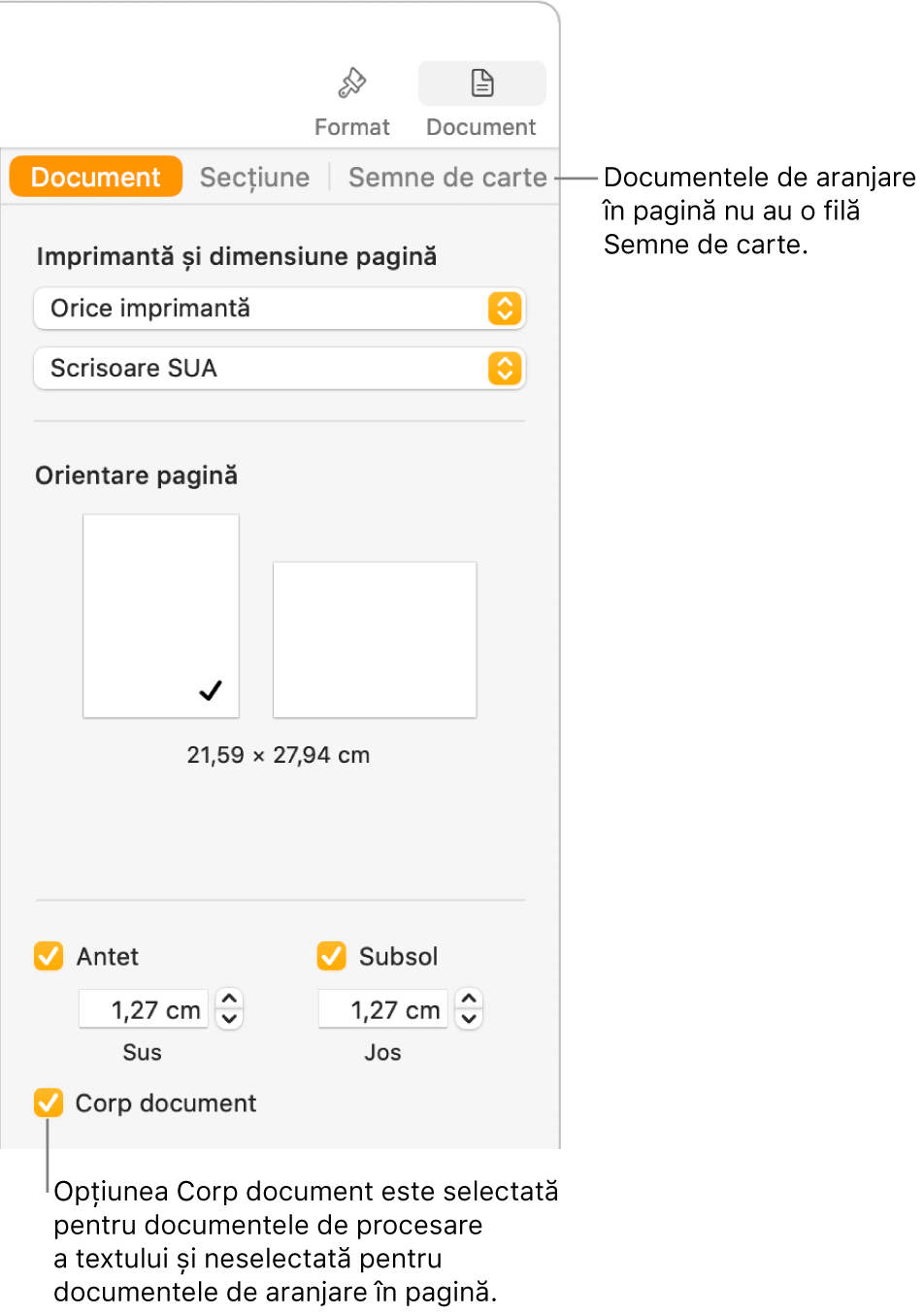 Bara laterală Format cu filele Document, Secțiune și Semne de carte în partea de sus. Fila Document este selectată și o explicație referitoare la fila Semne de carte precizează că documentele de aranjare în pagină nu au o filă Semne de carte. Caseta de validare Corp document este selectată, ceea ce indică și faptul că acesta este un document de procesare a textului.