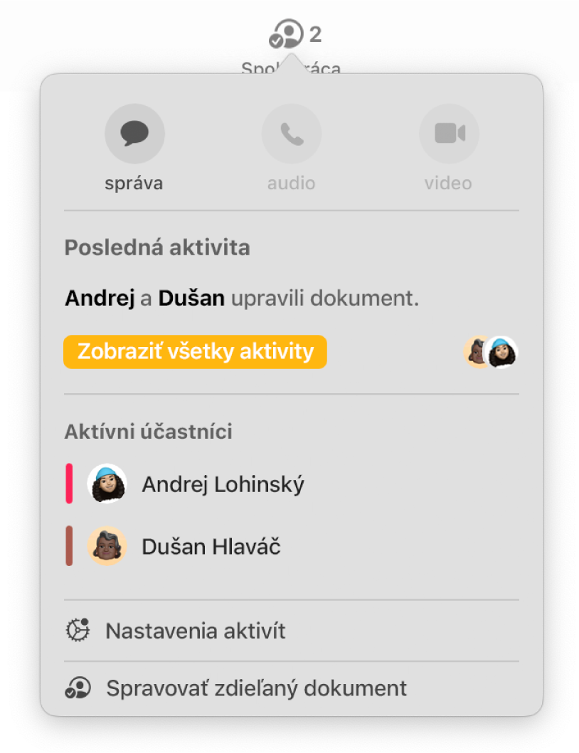 Menu Spolupráca obsahujúce mená ľudí spolupracujúcich na dokumente. Možnosti zdieľania sú pod menami.