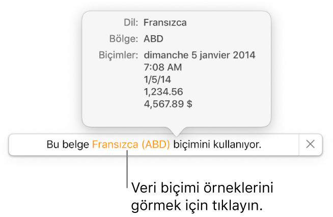 O dil ve bölgede kullanılan biçimlendirme örneklerini gösteren, farklı dil ve bölge ayarı bildirimi.