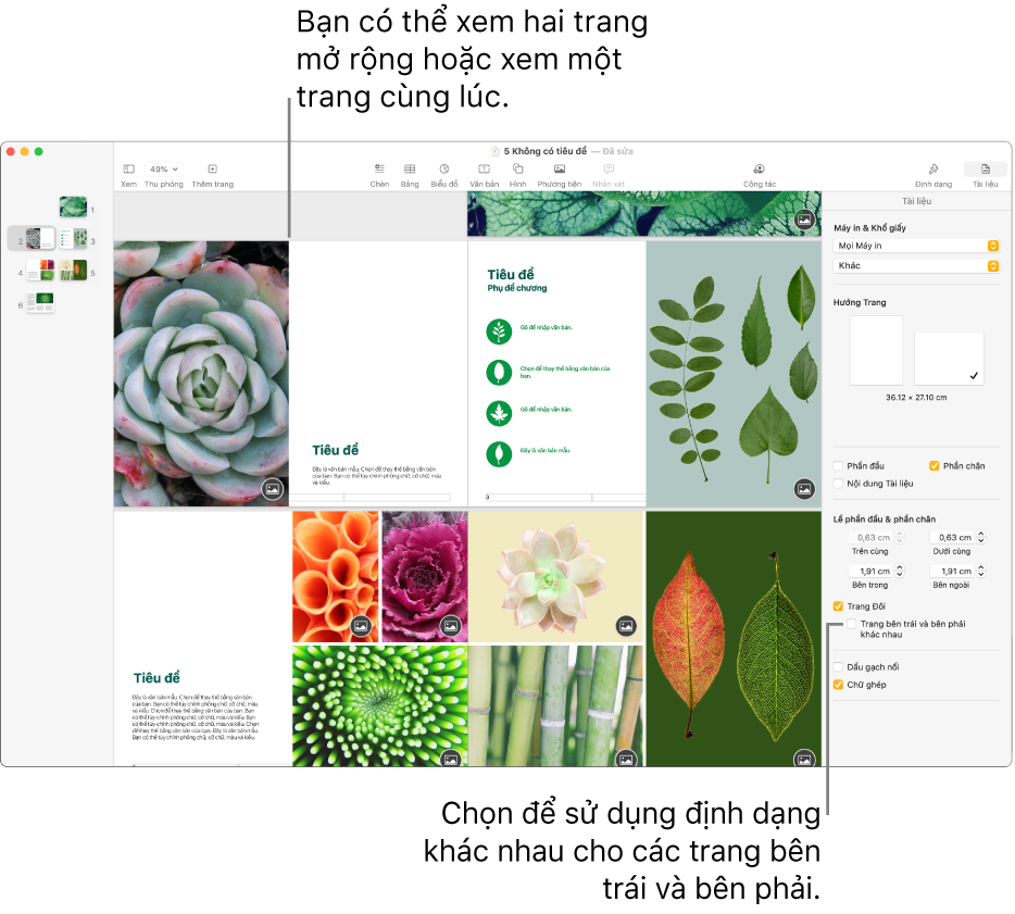 Cửa sổ Pages với các hình thu nhỏ của trang và các trang tài liệu được xem dưới dạng bản in hai trang. Trên thanh bên Tài liệu ở bên phải, hộp kiểm “Trang bên trái và bên phải khác nhau” được chọn.