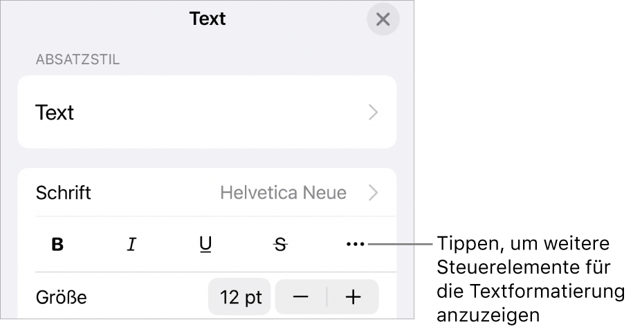 Der Tab „Text“ der Formatsteuerungen mit einer Beschreibung für die Taste „Weitere Textoptionen“.