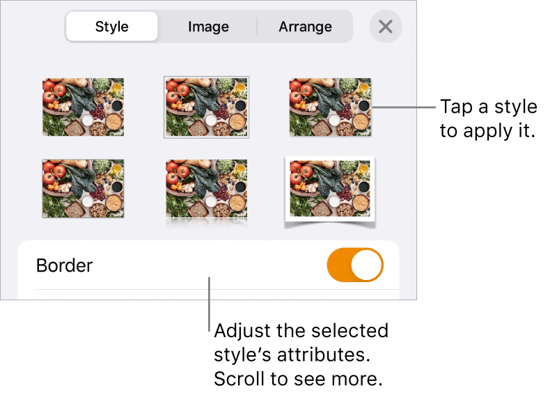 The Style tab of the Format menu with object styles at the top and a control below them to change the border.