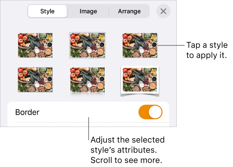 The Style tab of the Format menu with object styles at the top and a control below them to change the border.