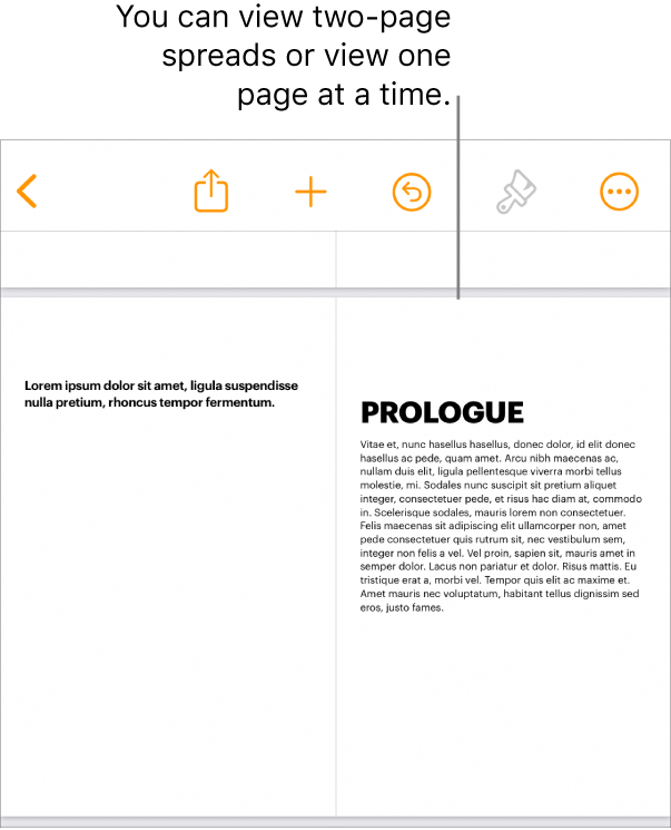 A document with pages viewed as two-page spreads.