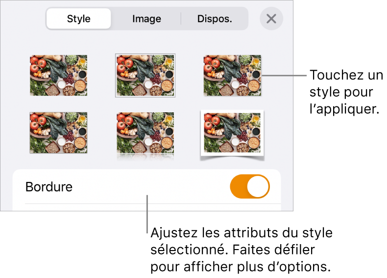 Onglet Style du menu Format avec des styles d’objet en haut et, en dessous, une commande de modification de bordure.