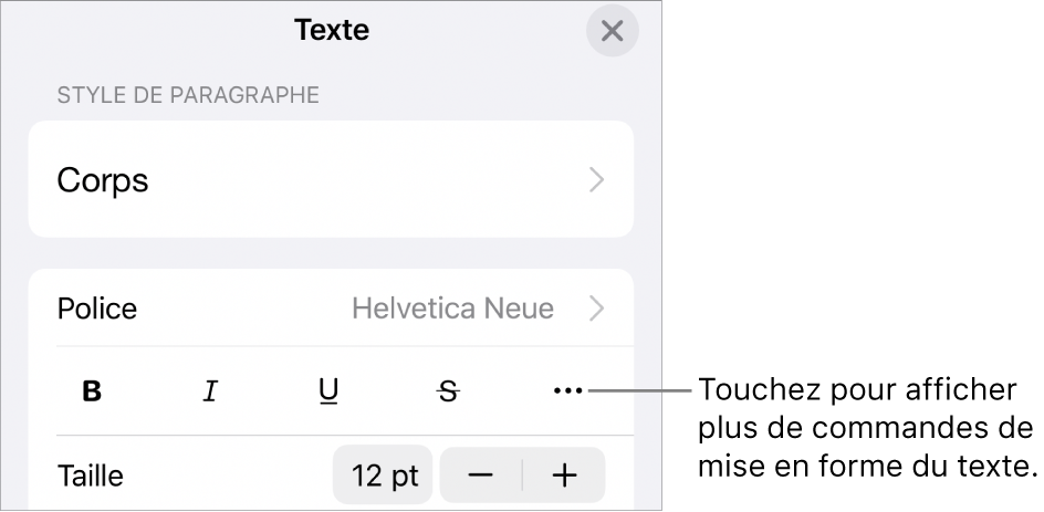 L’onglet Texte des commandes Format, avec une légende vers le bouton « Plus d’options de texte ».