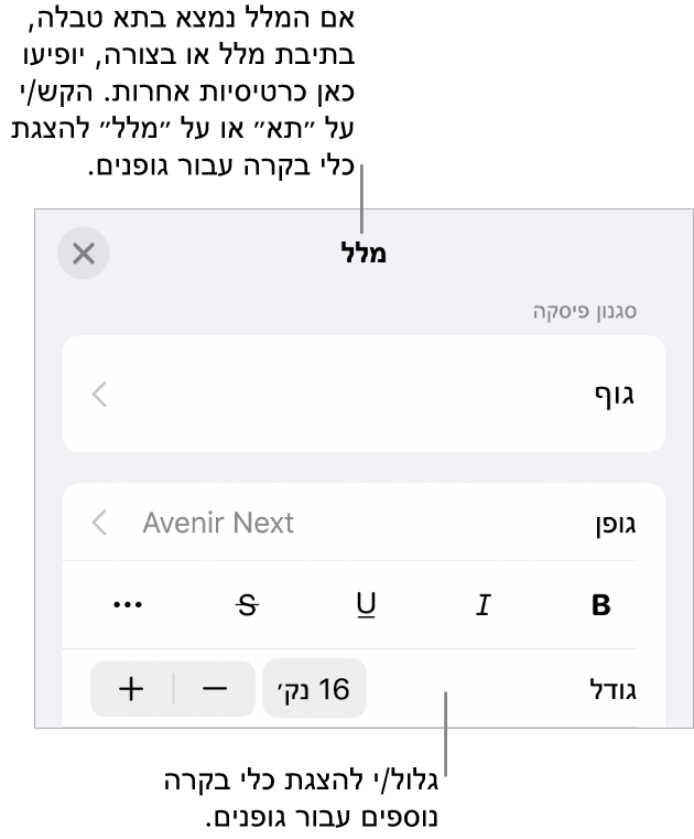 כלי בקרה של מלל בתפריט ״עיצוב״ להגדרת סגנונות, גופן, גודל וצבע עבור פיסקאות ותווים.