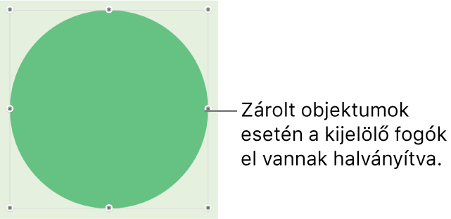 Zárolt objektum elhalványított kijelölő fogókkal.