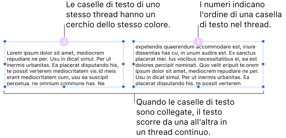 Due caselle di testo con cerchi viola nella parte superiore e i numeri 1 e 2 nei cerchi.