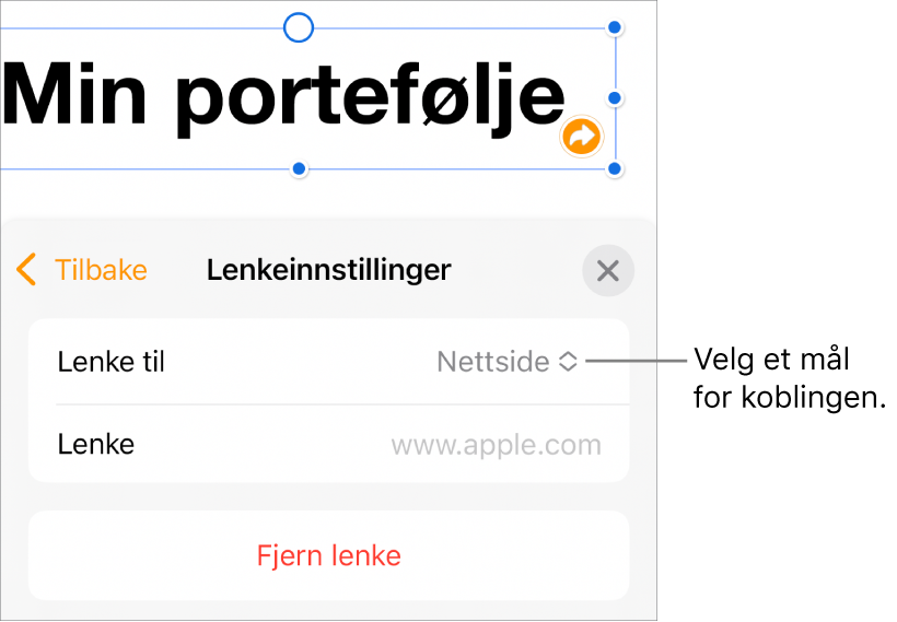 Lenkeinnstillinger-kontrollene med Nettside markert, og Fjern lenke-knappen nederst.