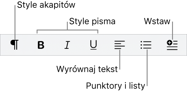 Pasek szybkiego formatu pokazujący ikony stylów akapitu, formatowania tekstu, punktorów i list, a także wstawiania elementów.