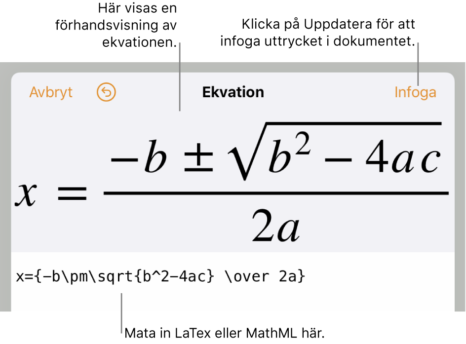 Dialogrutan Ekvation med den kvadratiska formeln som skrivits med LaTeX-kommandon och en förhandsvisning av formeln ovanför den.