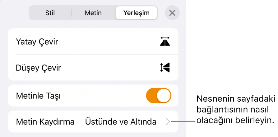 Metinle Taşı ve Metin Kaydırma’yı içeren Yerleştir denetimleri.