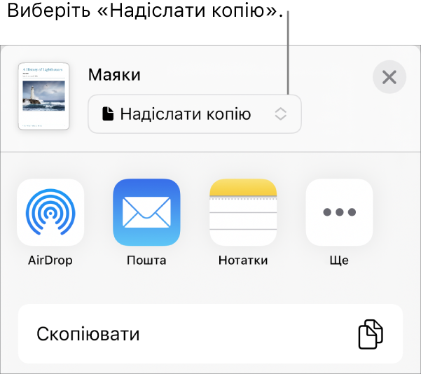 Меню «Поширення», у якому вгорі вибрано елемент «Поширити копію».