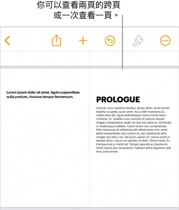 將頁面以兩頁全開頁面檢視的文件。