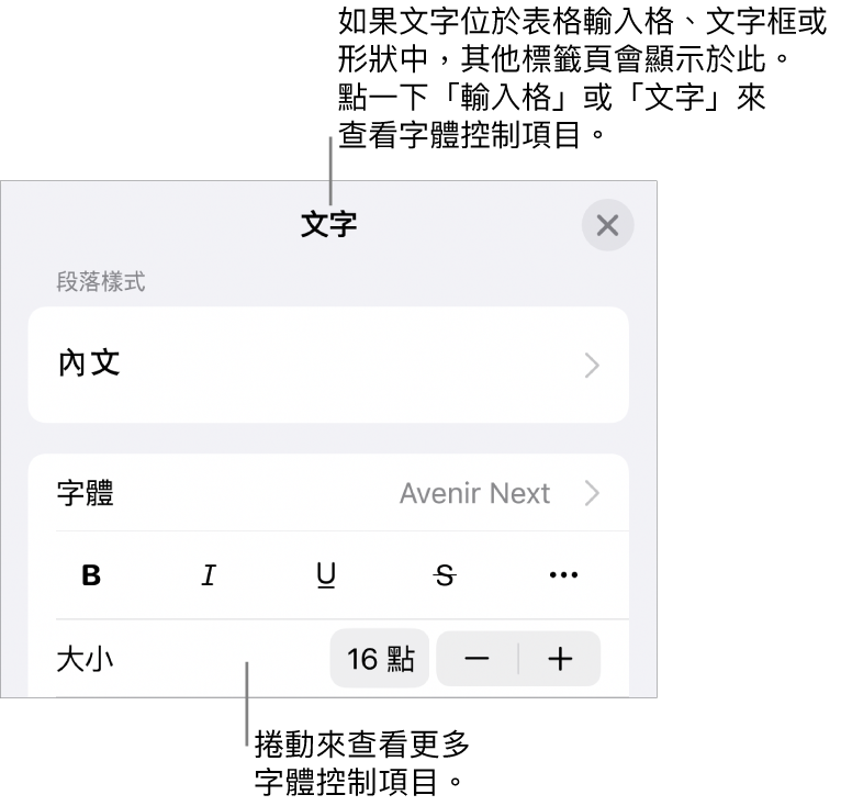 「格式」選單中設定段落及字元樣式、字體、大小和顏色的文字控制項目。