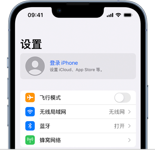 “设置”屏幕显示“登录 iPhone”已选中。