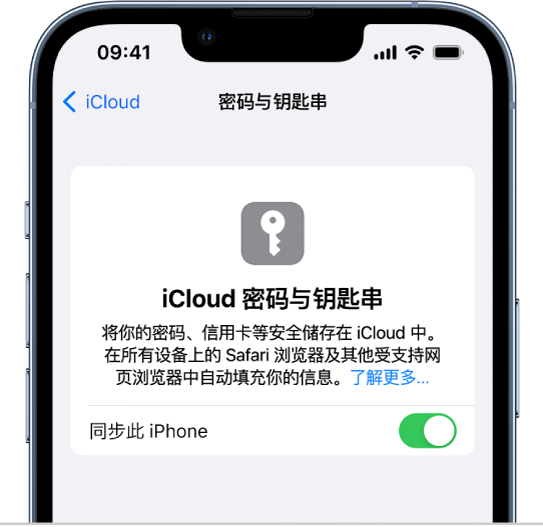 iCloud “密码和钥匙串”屏幕,显示用于同步此 iPhone 的设置。