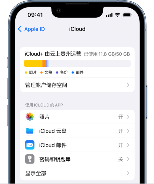 iCloud 设置屏幕,显示 iCloud 储存空间指示器和可配合 iCloud 使用的 App 及功能的列表,包括“照片”、iCloud 云盘和 iCloud 邮件。