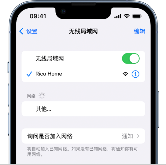 “设置”中的“无线局域网”选项屏幕。“无线局域网”已打开,某个网络被选中。