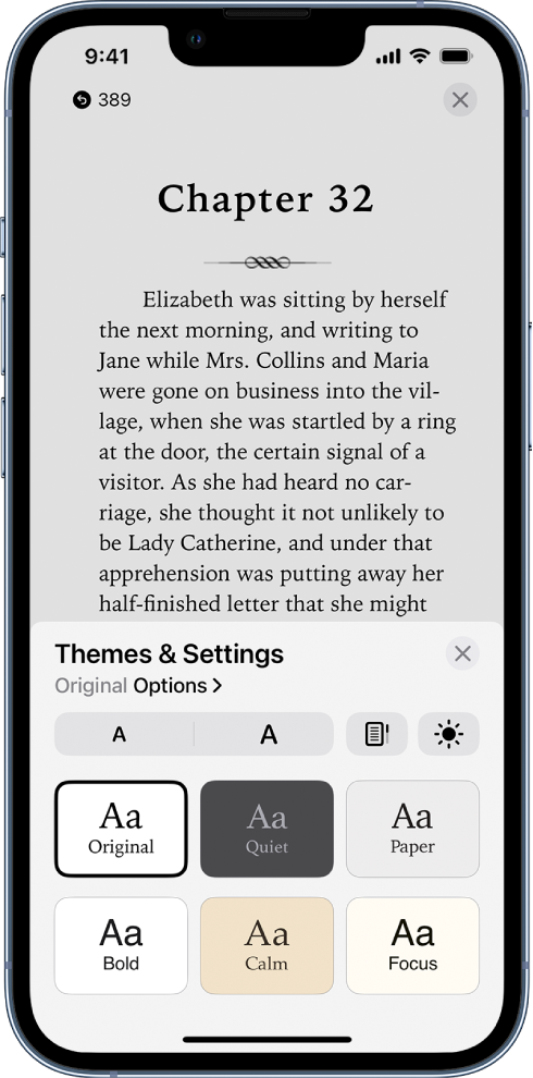 The Themes and Settings menu showing controls for font size, scrolling view, brightness, and font options.