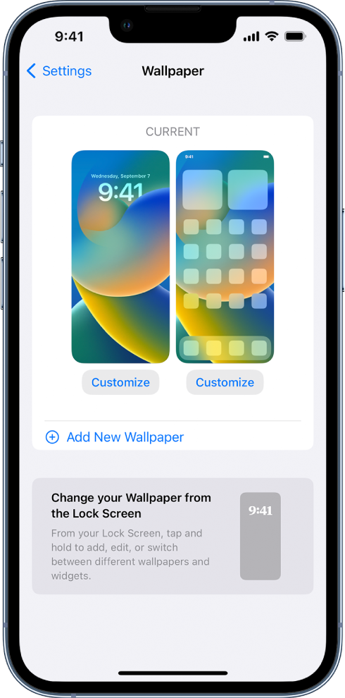 The Wallpaper Settings screen, with buttons for customizing the current Home Screen and Lock Screen, and the Add New Wallpaper button for changing the wallpaper.