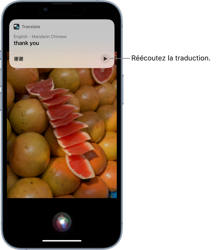 Siri affiche une traduction de l’expression anglaise « thank you » en mandarin. Un bouton situé en bas de la traduction relance l’audio de la traduction.