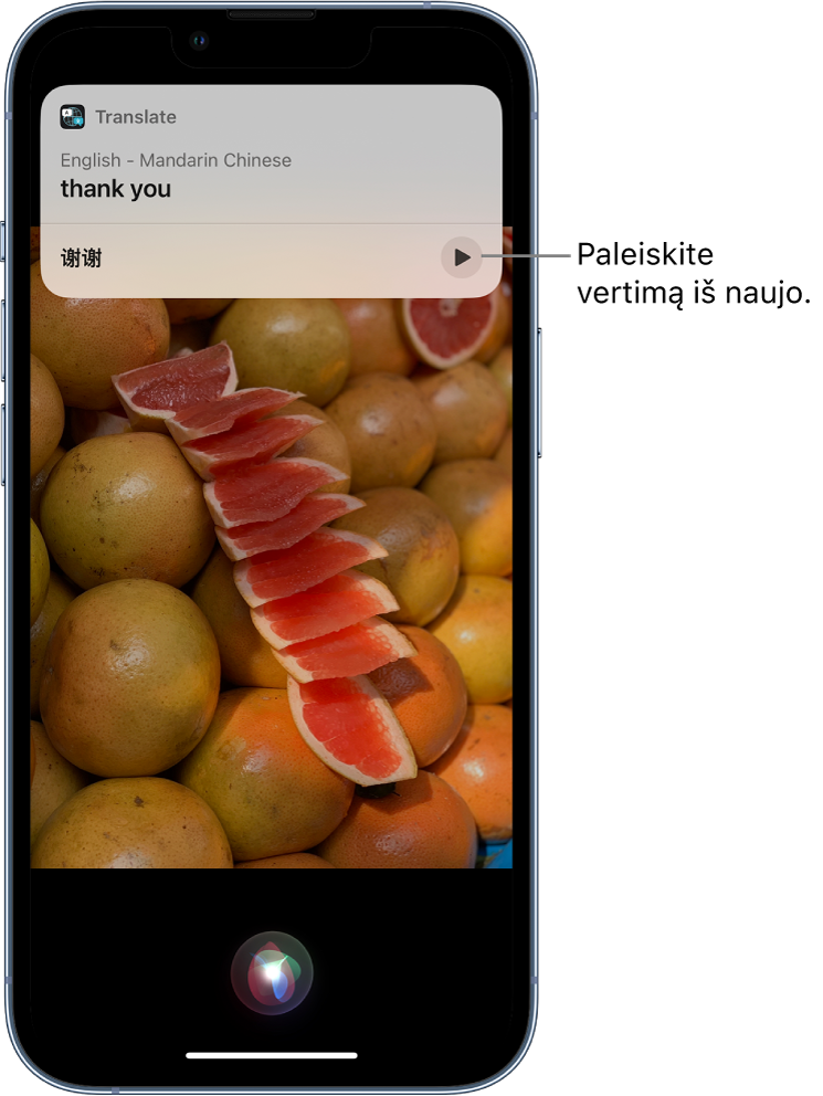 „Siri“ rodo angliškos frazės „thank you“ (ačiū) vertimą į mandarinų kalbą. Vertimo apačioje esantis mygtukas pakartoja garsinį vertimą.