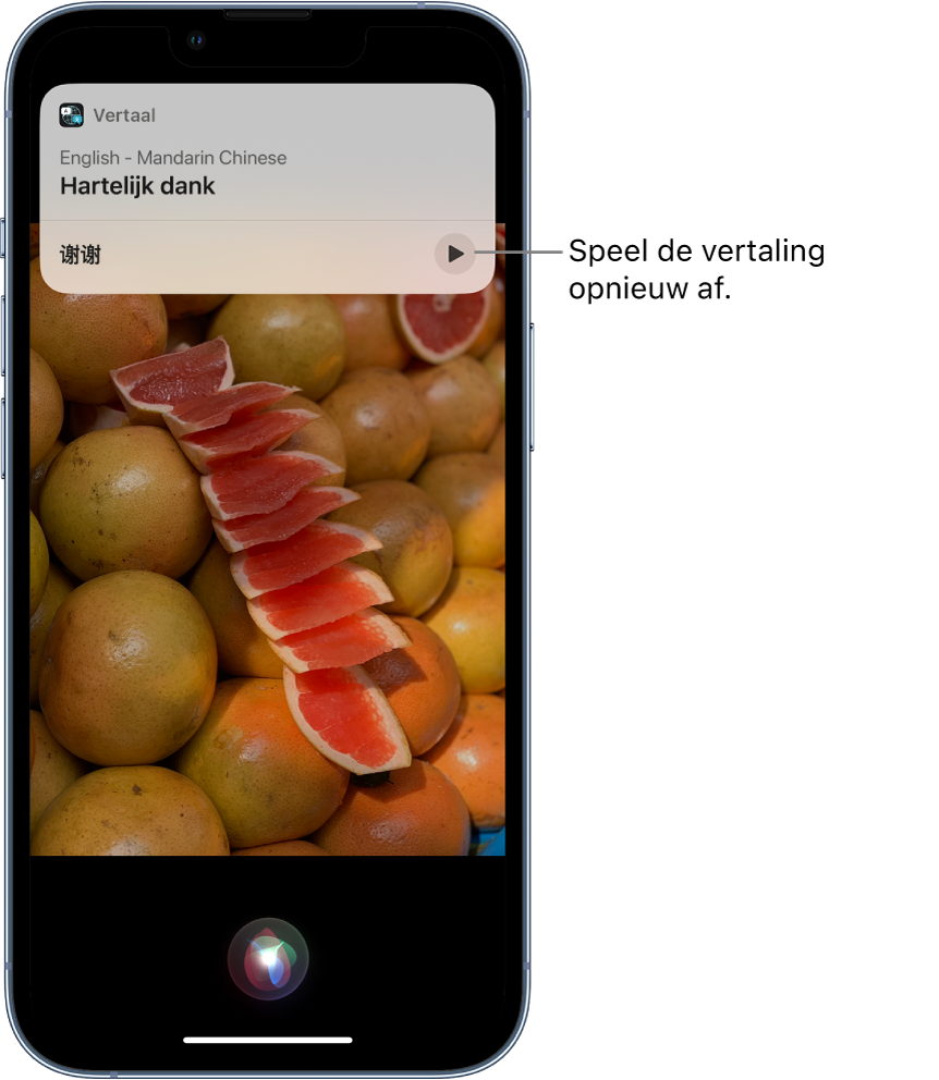 Siri geeft een vertaling weer van het Engelse "thank you" in het Mandarijn. Met een knop onderaan de vertaling kun je de vertaling opnieuw laten voorlezen.