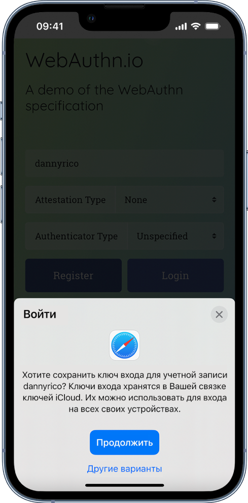 Экран входа, на котором отображается запрос, следует ли сохранить ключ входа для этой учетной записи. В нижней части экрана расположены кнопки «Продолжить» и «Другие варианты».