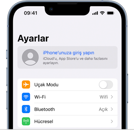 Ayarlar ekranı; iPhone’unuza giriş yapın seçili.