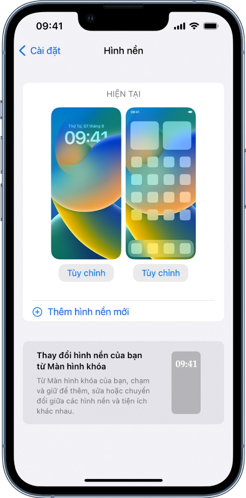 Mẹo cách đặt ảnh làm hình nền điện thoại iphone cho thiết bị iOS mới nhất