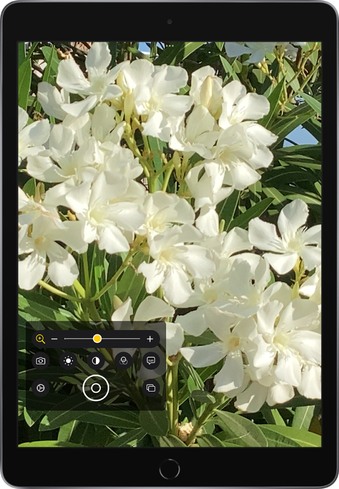 Skærmen Forstørrelsesglas, der viser et nærbillede af blomster.