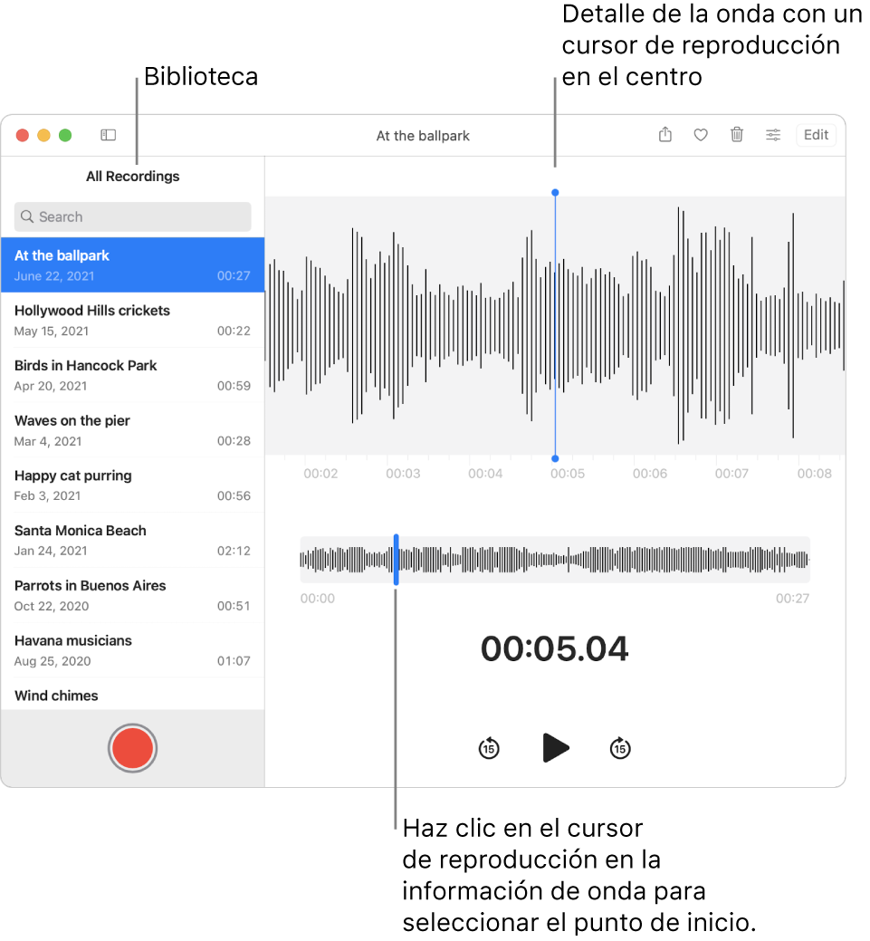 La app Notas de Voz mostrando las grabaciones en la biblioteca disponible a la izquierda. La grabación seleccionada aparece en la ventana a la derecha de la lista, como un detalle en forma de onda con un cursor de reproducción en el centro. Debajo de la grabación está la vista general de la forma de onda.