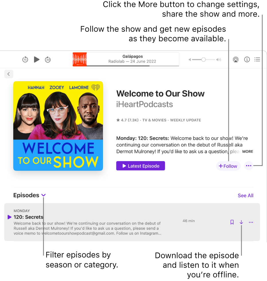 An information page for a podcast. Click Follow to get new episodes as they become available. Click the More button to change settings, share the show and more. Filter episodes by season or category. Download the episode if you want to listen to it when you’re not connected to the internet.