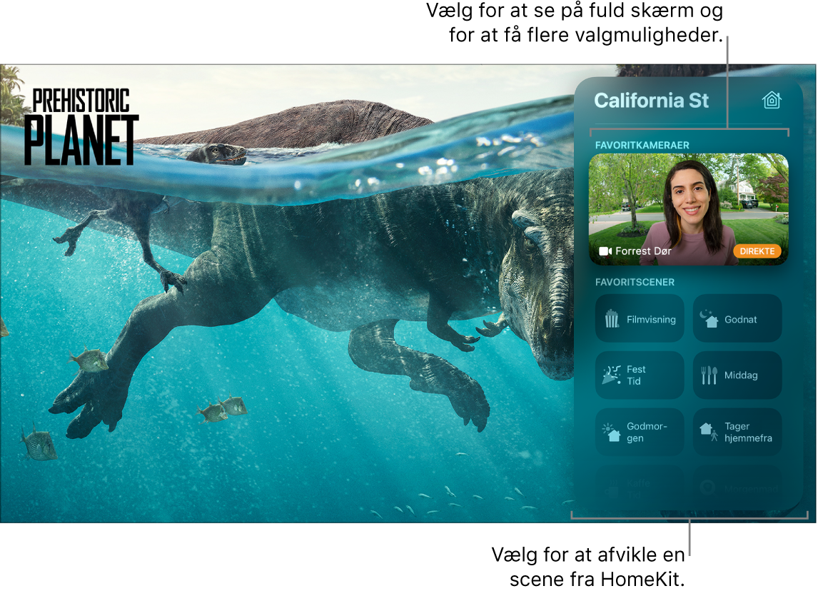 Apple TV-skærm, der viser HomeKit-oversigt i Kontrolcenter