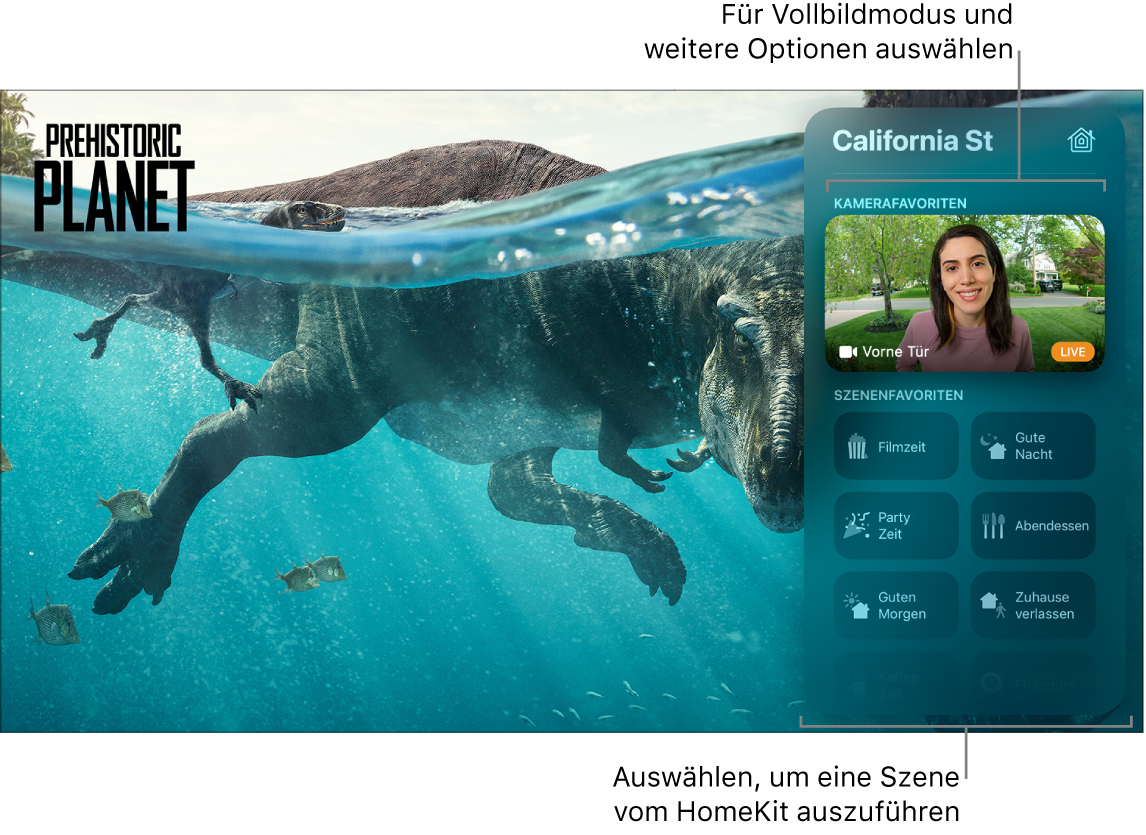 Apple TV-Bildschirm mit Kontrollzentrum in der HomeKit-Darstellung
