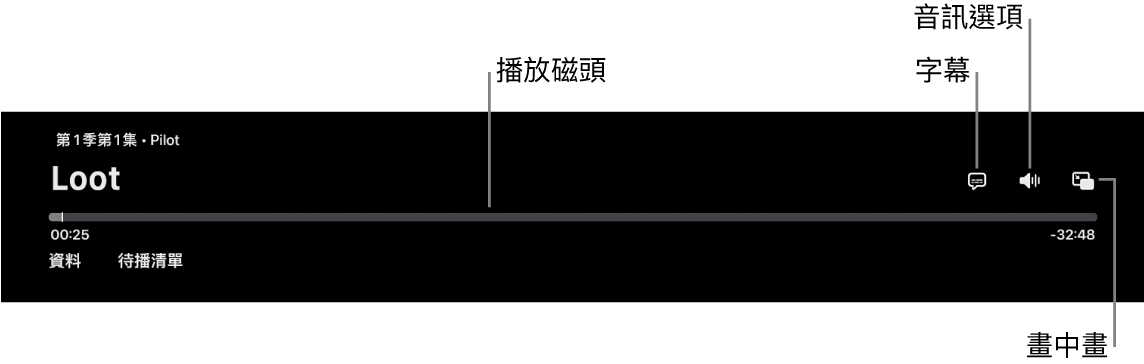播放控制項目