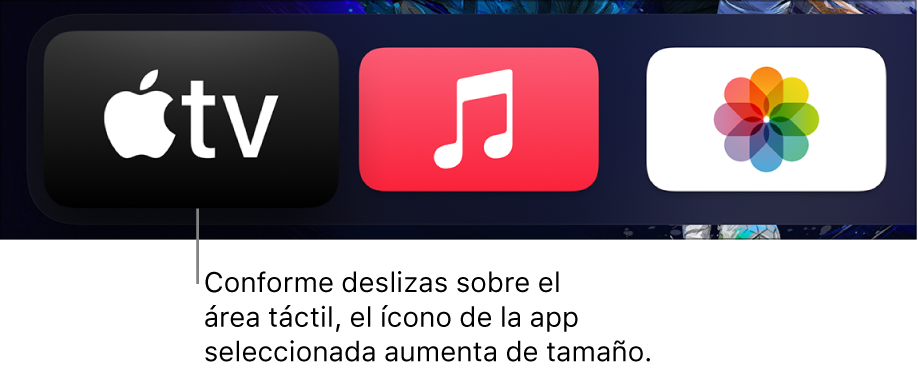 App seleccionada en la pantalla de inicio