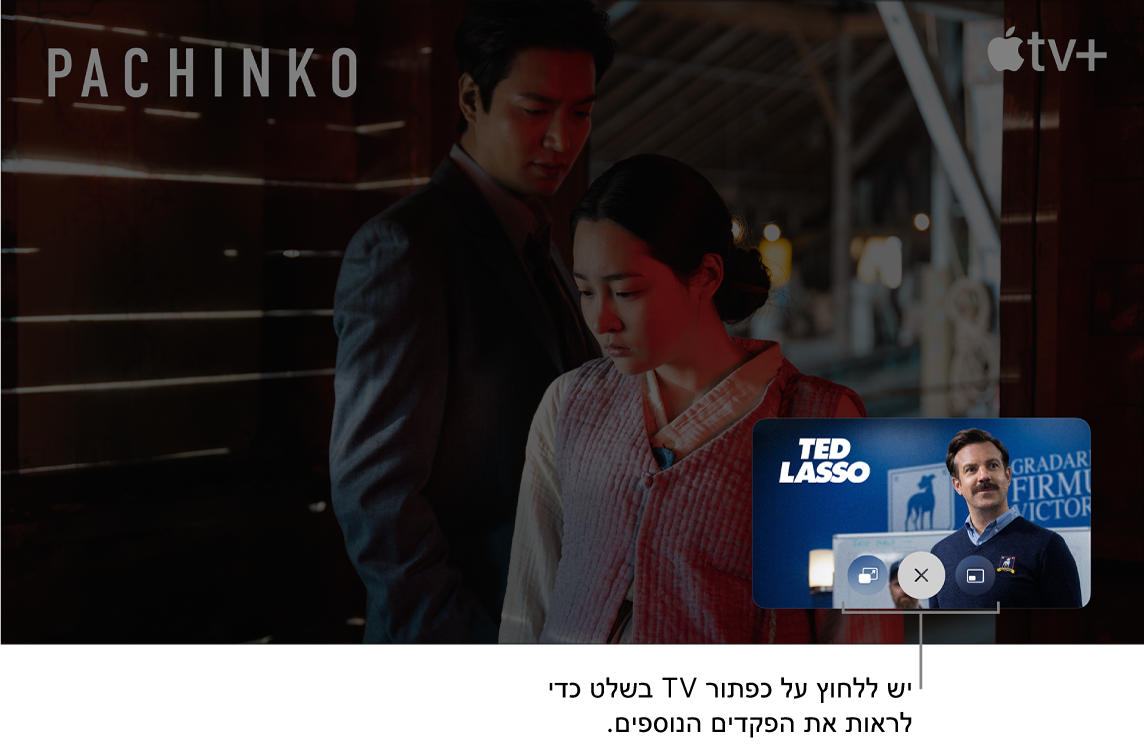 פקדי ״תמונה בתוך תמונה״ נוספים