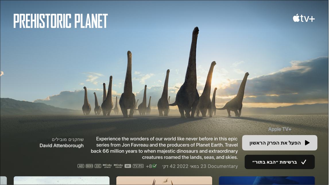 מסך המציג את מסך החיפוש אחר תכנית טלויזיה