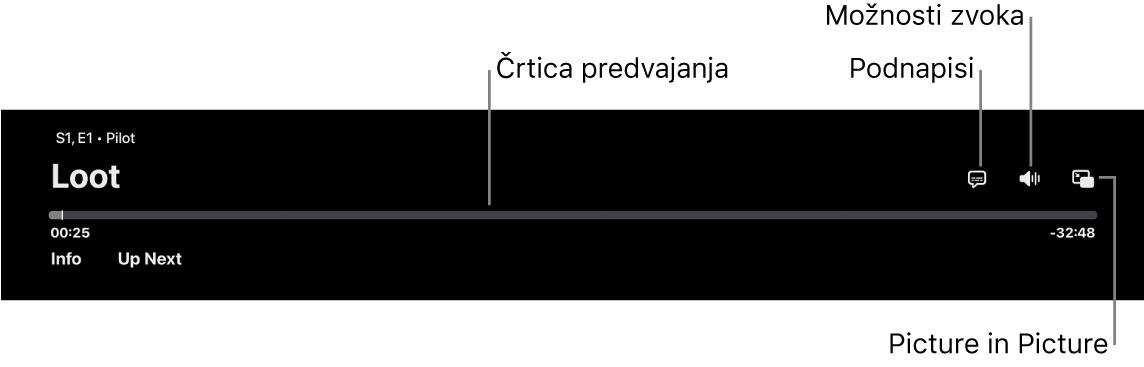 Upravljalni elementi za predvajanje