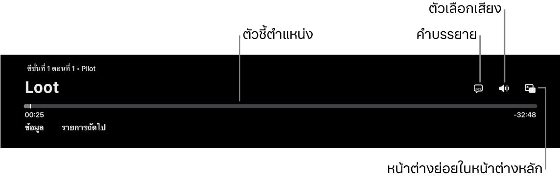 ตัวควบคุมการเล่น