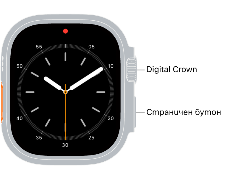 Предната част на Apple Watch Ultra с коронката Digital Crown, показана горе от дясната страна на часовника и страничния бутон, показан долу вдясно.