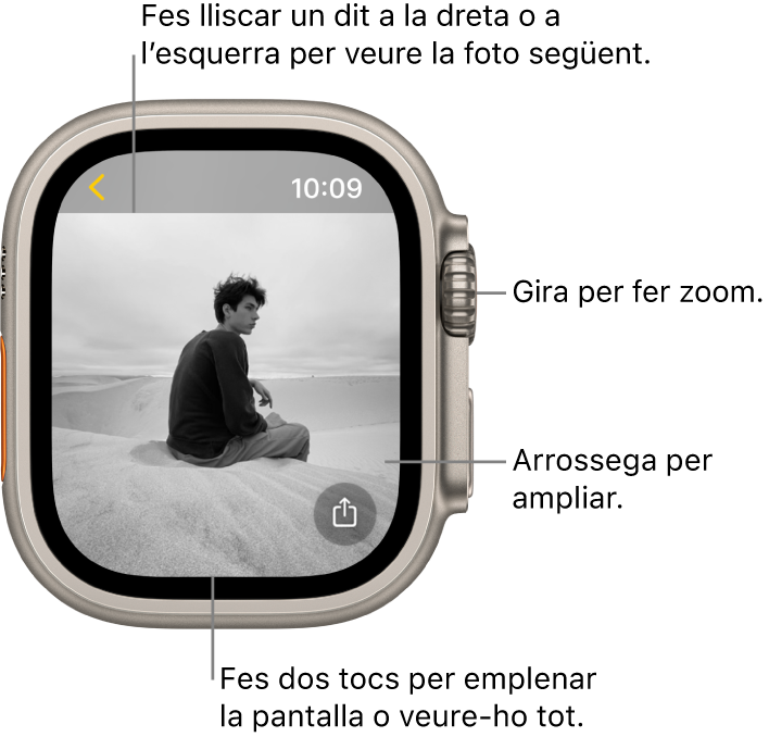 Mentre veus una foto, gira la Digital Crown per fer zoom, arrossega el dit per desplaçar-te o fes dos tocs per canviar entre veure tota la foto i veure-la a pantalla completa. Fes lliscar un dit a la dreta o a l’esquerra per veure la foto següent. A la part inferior dreta hi ha el botó Compartir.